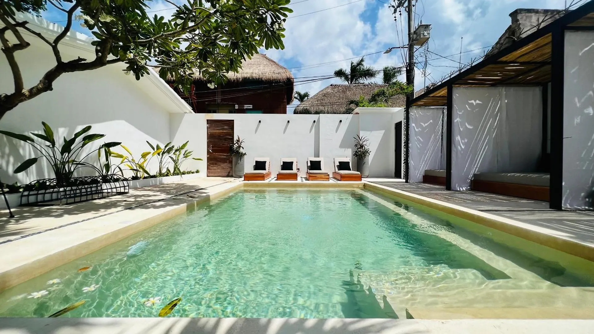 Hotel Aalada Playa Del Carmen